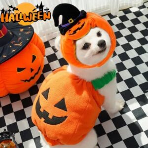 Halloween Pumpkin Pet Vest Costume for Dogs & Cats