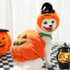 Halloween Pumpkin Pet Vest Costume for Dogs & Cats - Image 2