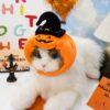 Halloween Pumpkin Pet Vest Costume for Dogs & Cats - Image 7