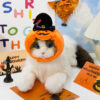 Halloween Pumpkin Pet Vest Costume for Dogs & Cats - Image 6