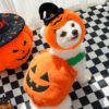 Halloween Pumpkin Pet Vest Costume for Dogs & Cats - Image 4
