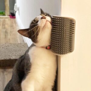 4596c3dc-e08c-42e9-88fe-d9e416c47f5b.jpg 2-in-1 Self-Grooming Cat Arch & Massager